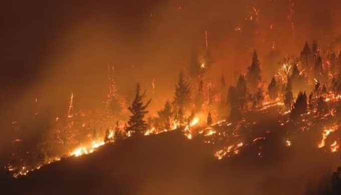 Las llamas arrasan bosques de la Patagonia argentina y reavivan críticas
