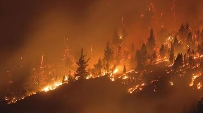 Las llamas arrasan bosques de la Patagonia argentina y reavivan críticas