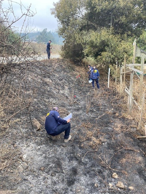 Al menos 112 muertos por los incendios forestales en Chile