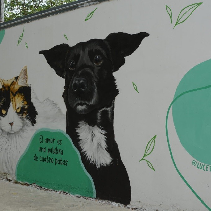 El municipio Santa Fe sancionará al propietario del perro que mató a Garrafa