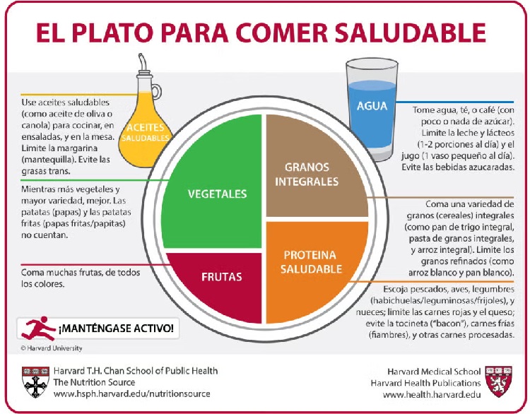 Nutrici&oacute;n de &Eacute;lite: Alimentaci&oacute;n para Futbolistas 