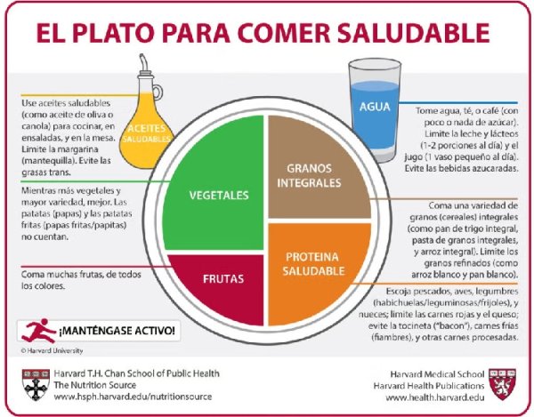 Nutrici&oacute;n de &Eacute;lite: Alimentaci&oacute;n para Futbolistas 