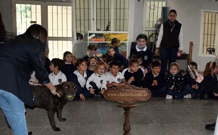 De la mano de Juan Carlos, las aulas santafesinas aprenden el valor de una convivencia responsable