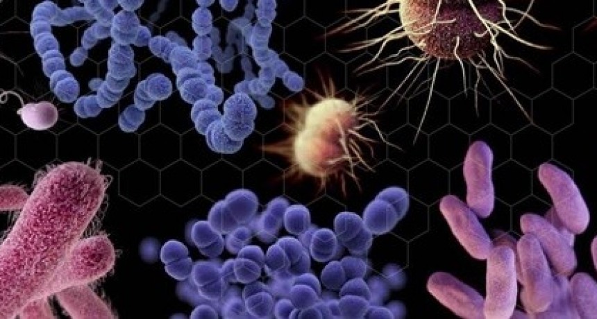 La OMS alerta de que el desarrollo de nuevos antibióticos está “estancado