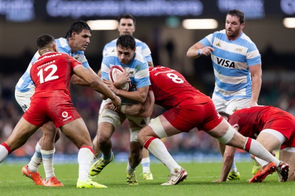 RUGBY: PLANTEL CONFIRMADO DE LOS PUMAS PARA COMENZAR EL NATIONS CHAMPIONSHIP