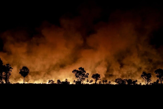 Los incendios en San Pablo provocan pérdidas de 180 millones de dólares en el sector agro