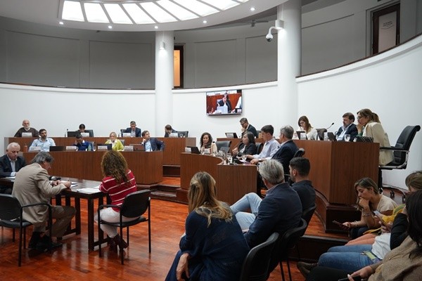 Por unanimidad el Concejo manifestó su repudio por los audios de Marcelo Saín