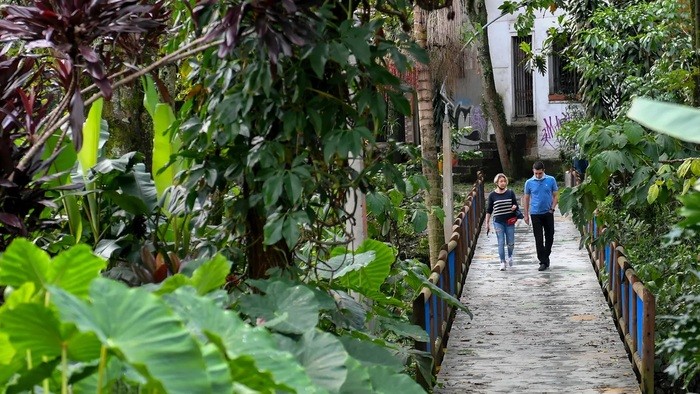 Cómo Medellín combate el calor con corredores verdes