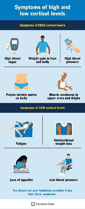 CORTISOL: QUE ES Y NIVELES QUE AFECTAN A LA SALUD