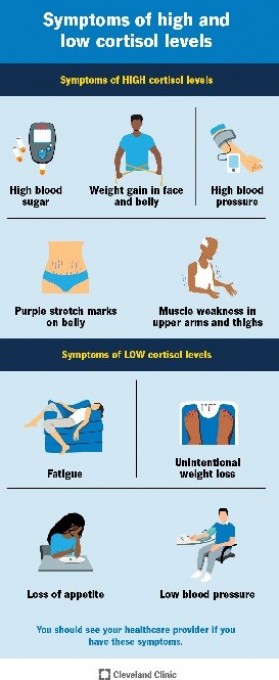 CORTISOL: QUE ES Y NIVELES QUE AFECTAN A LA SALUD