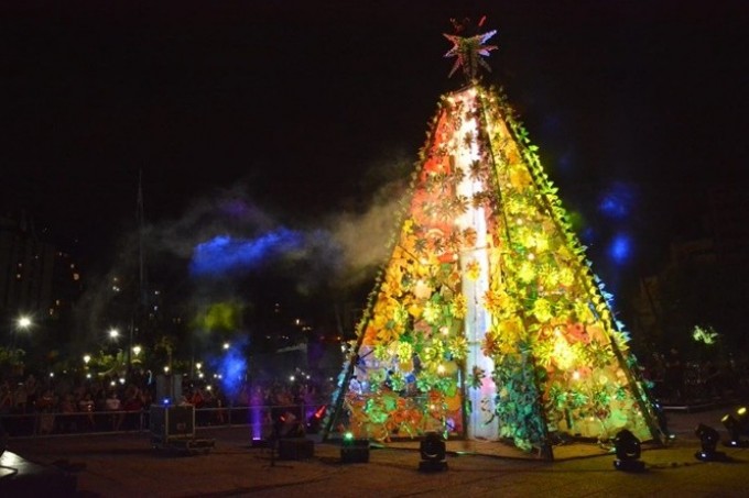 Encienden el tradicional Árbol de Navidad en la capital de Córdoba