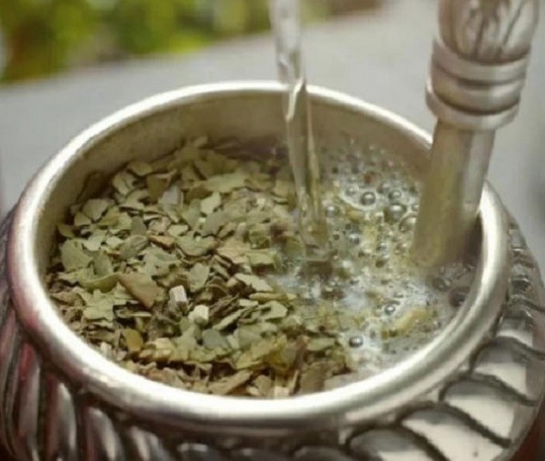 El yuyo perfecto para el mate: no genera acidez y mejora la digestión
